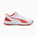 Puma 24 FH Rubber Cricket Shoes