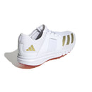 Adidas Howzat 20 Spike Cricket Shoes (IH8167)