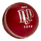 DP RPP 4pc Cricket Ball